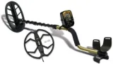 Fisher Gold Bug DP + 34cm Doppel-D Tiefensuchspule Karma
