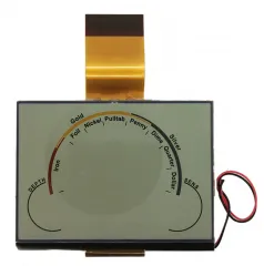 Whites LCD TreasurePro