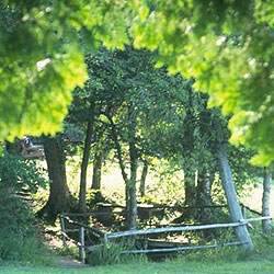 Quellen und Moore